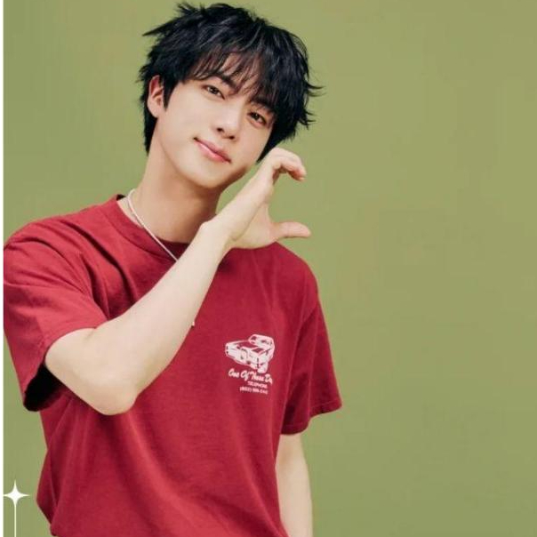 Kaos Carwash Jin BTS Festa 2025