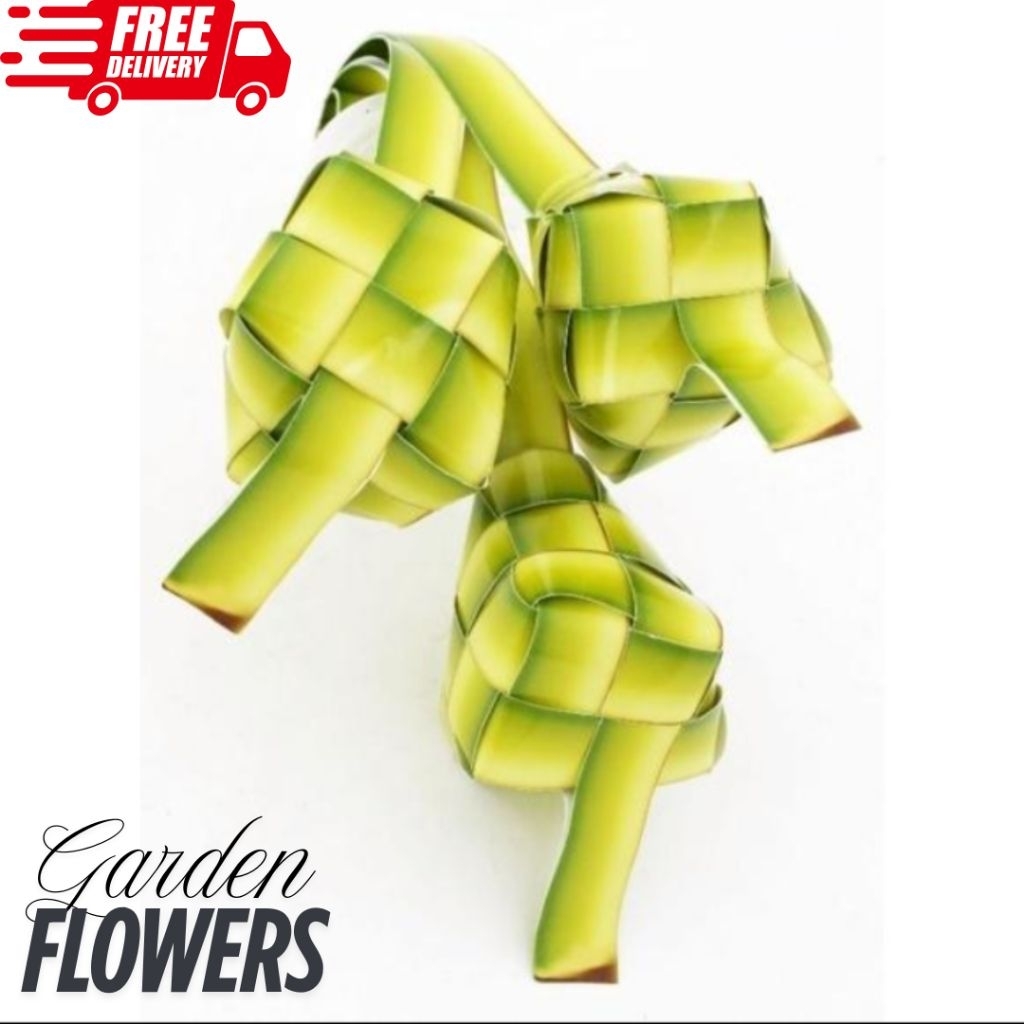 

CANGKANG KETUPAT KOSONGAN SATUAN JANUR KUNING MUDA SUDAH JADI SIAP PAKAI