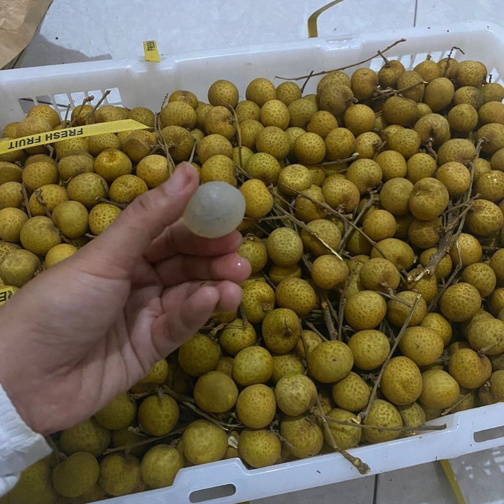 

KELENGKENG FRESH