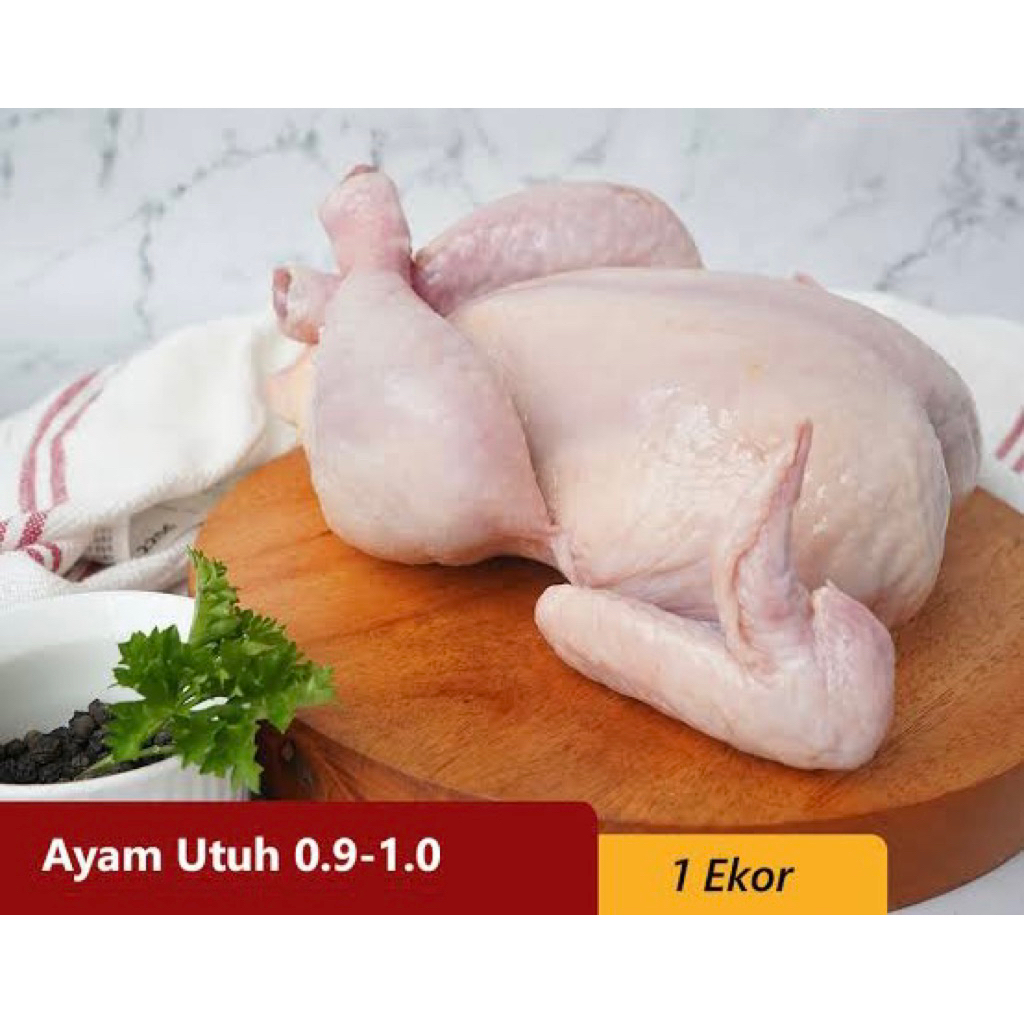 

ayam boiler karkas ukurun 900-1000gr