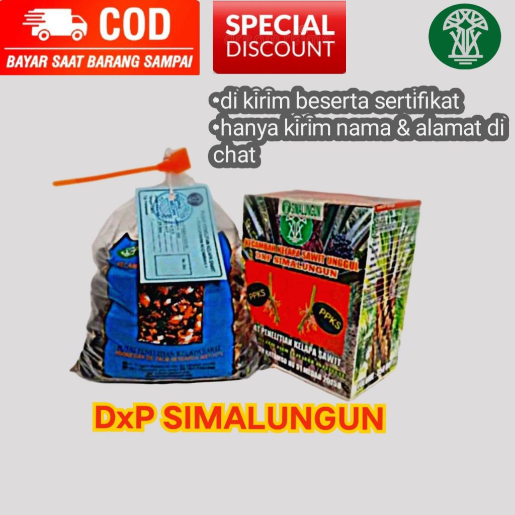 biji benih kelapa sawit dxp SIMALUNGUN unggul isi 250 butir dikirim beserta sertifikat