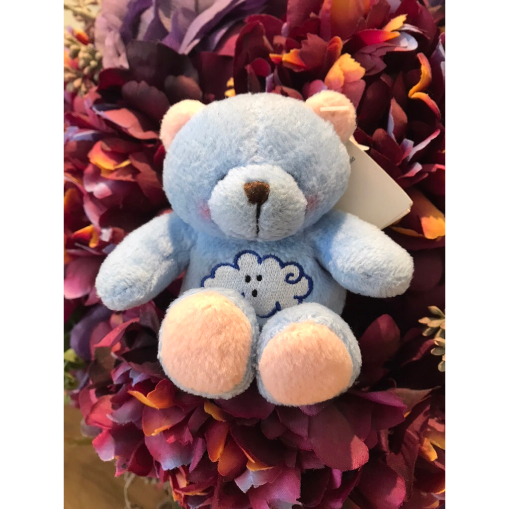 Teddy Forever Friends