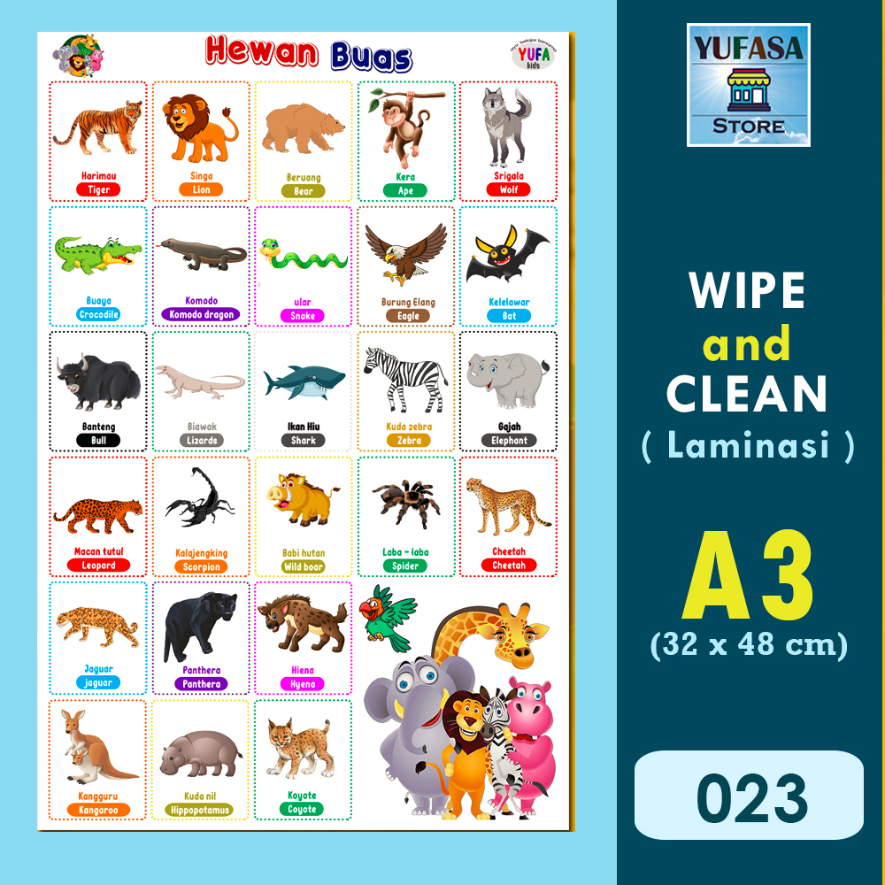 023 poster hewan buas - Poster Edukasi Anak - Poster belajar anak - Poster wipe and clean - perlengk