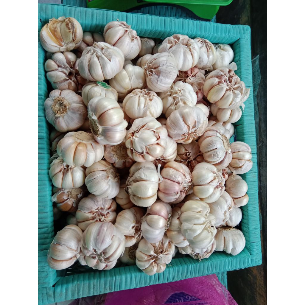 

BAWANG PUTIH HONAN 1Kg