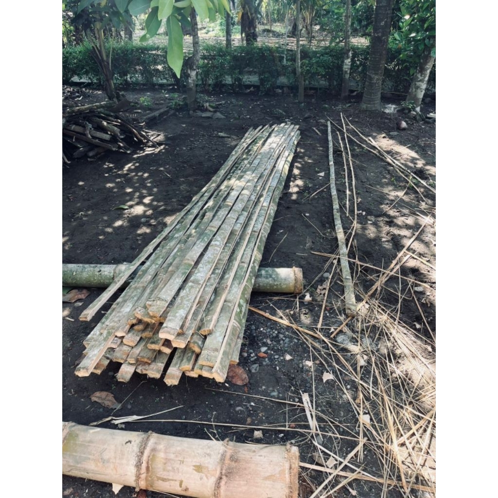 Bambu Petung untuk buat layang layang 4 meter