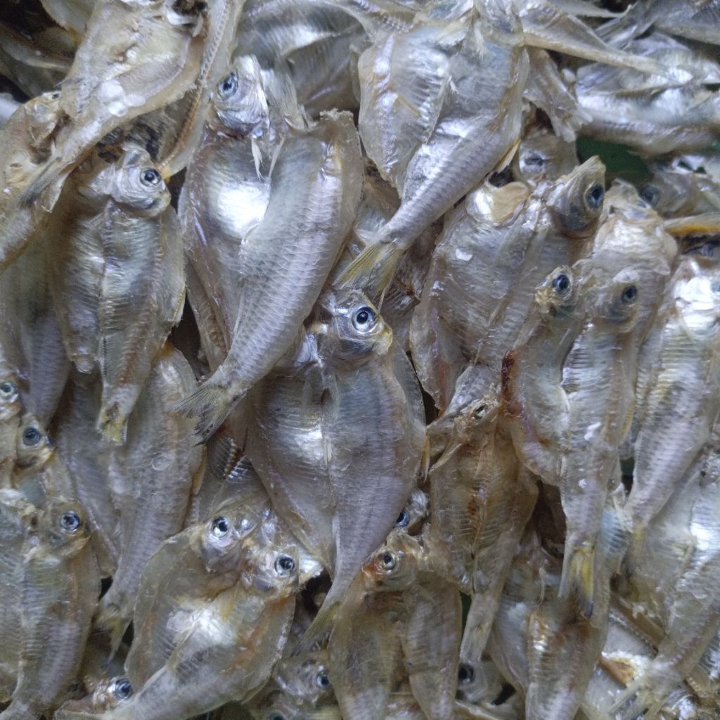 

ikan asin klapan cocok buat cemilan kerupuk/ keripik ikan IKAN ASIN KLAPAN LAUT KHAS JAWA TENGAH 100 GRAM