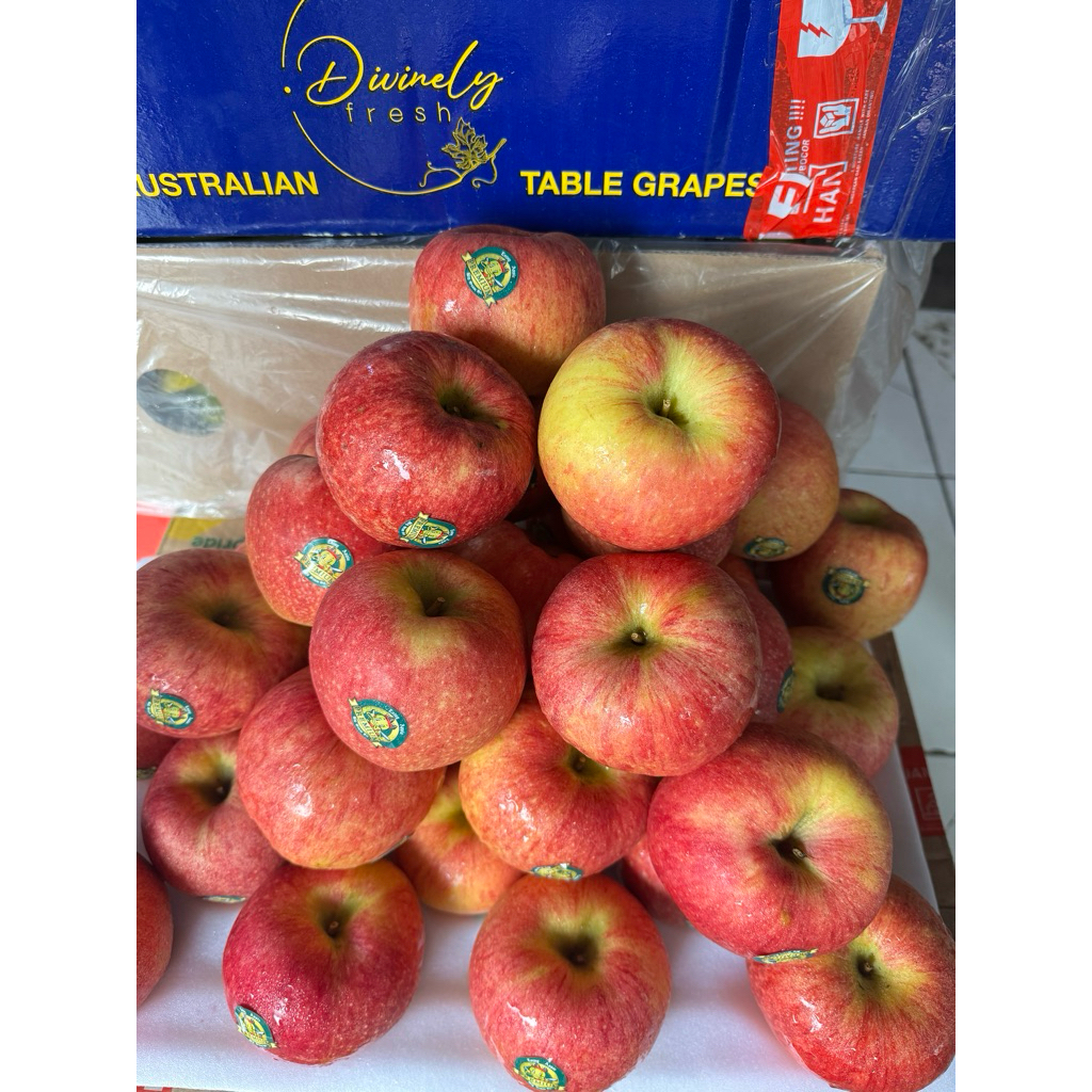 

Apel Fuji Enjoy Premium