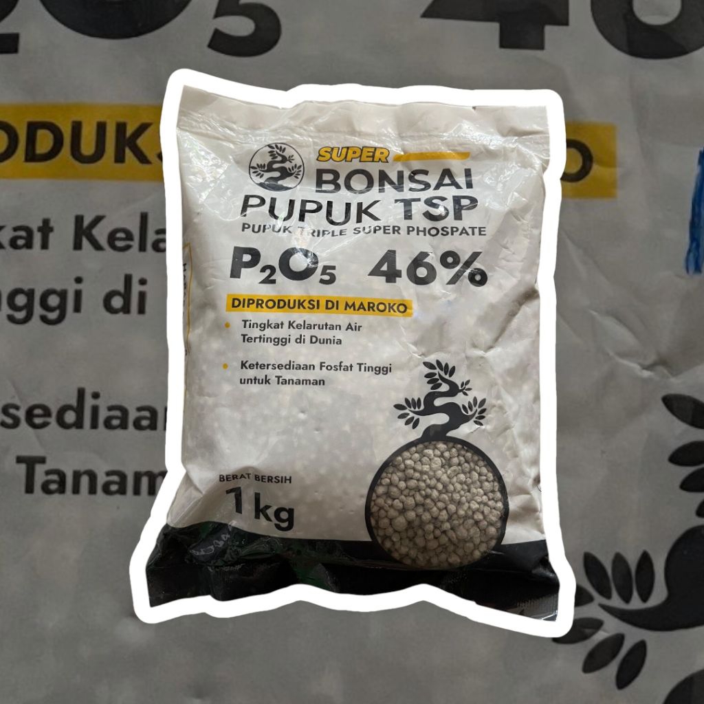 PUPUK BONSAI TSP 46% P2O5 | PUPUK SUPER PHOSPHATE | 1 KG | PRODUKSI MAROKO