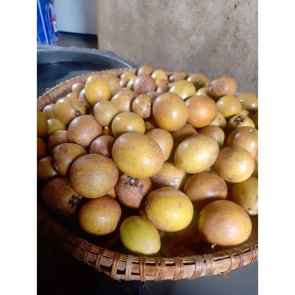 buah sawo 1kg