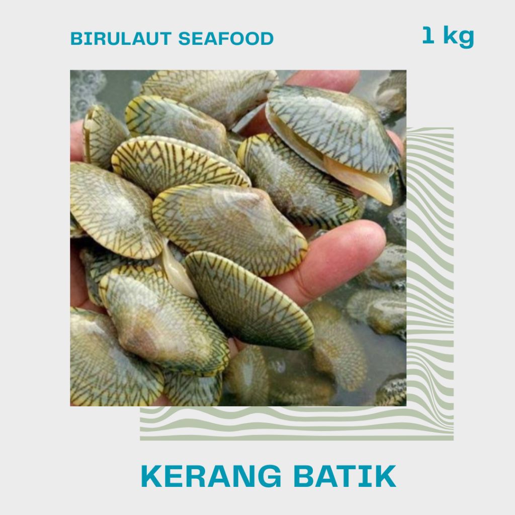 

KERANG BATIK SEGAR 1kg