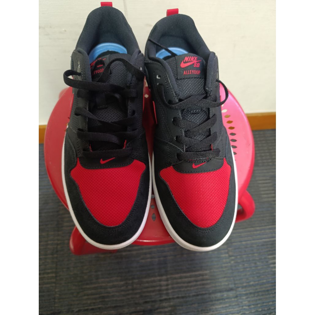 SB dunk alleyoop sz 43
