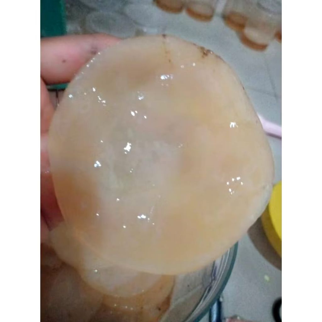 

air starter kombucha