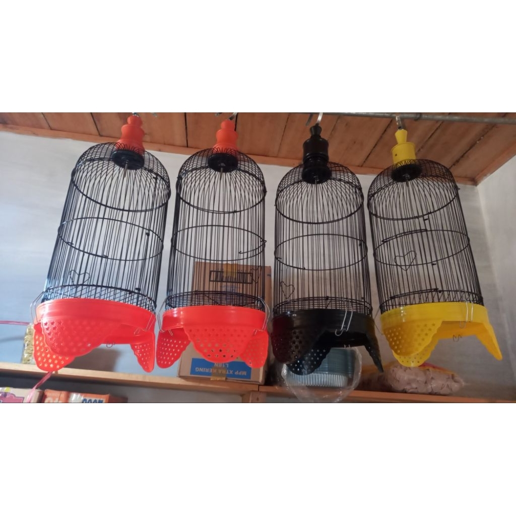 helopet kandang kurung pleci atau burung kecil