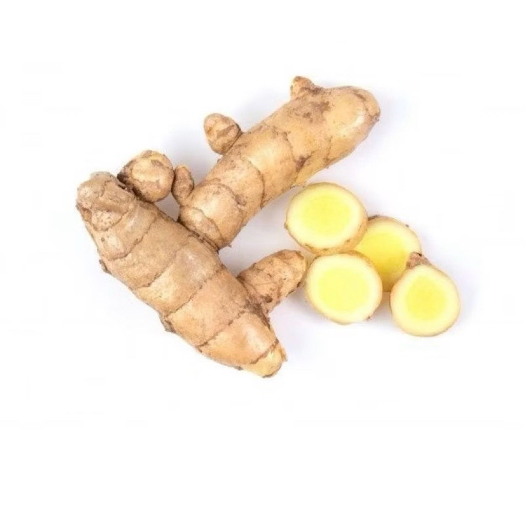 

KUNYIT PUTIH SEGAR KEMASAN 100 GRAM