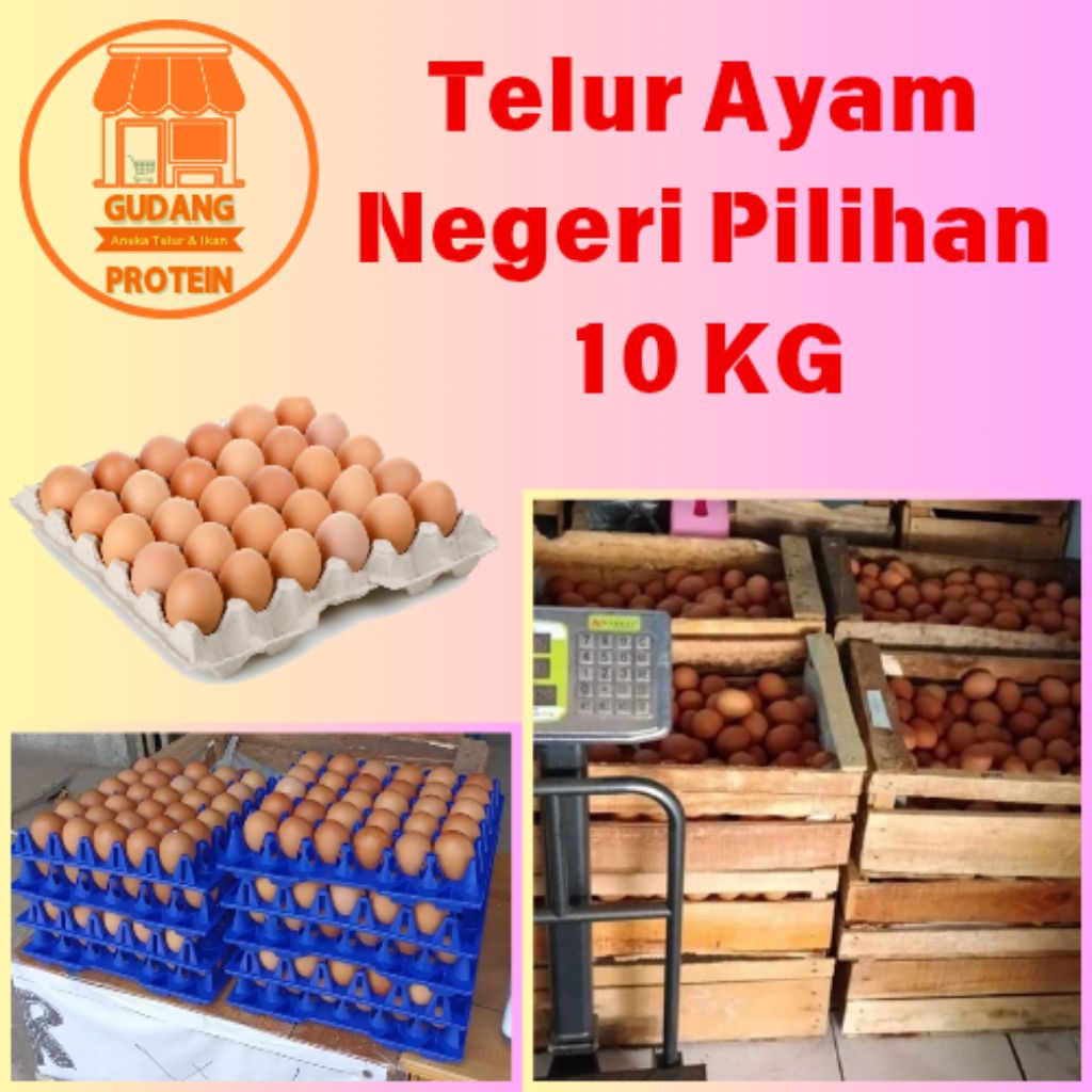 

TELUR AYAM NEGRI GRADE A MURAH 10 KG / Telur Ayam Negri