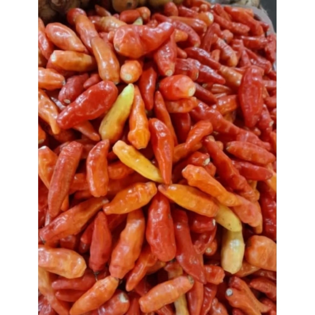 

cabe rawit merah petik 250gr