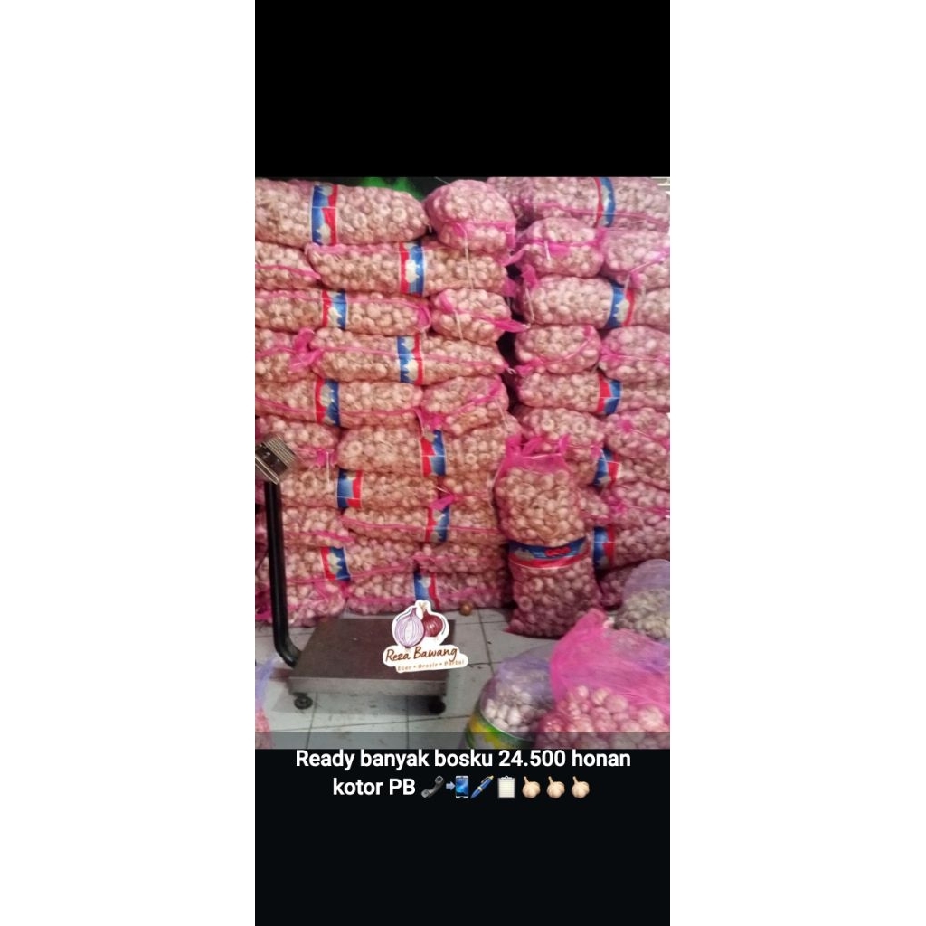 

bawang putih honan
