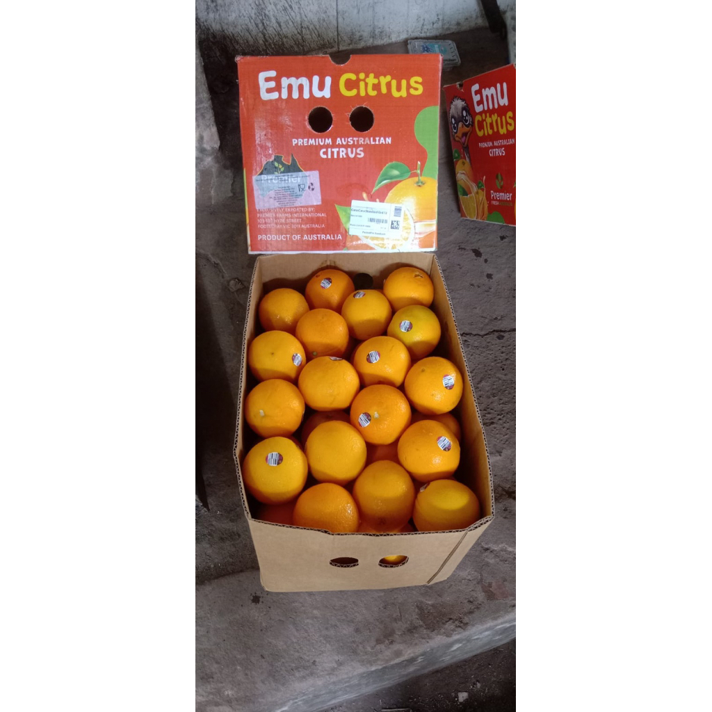 

sunkis cara cara