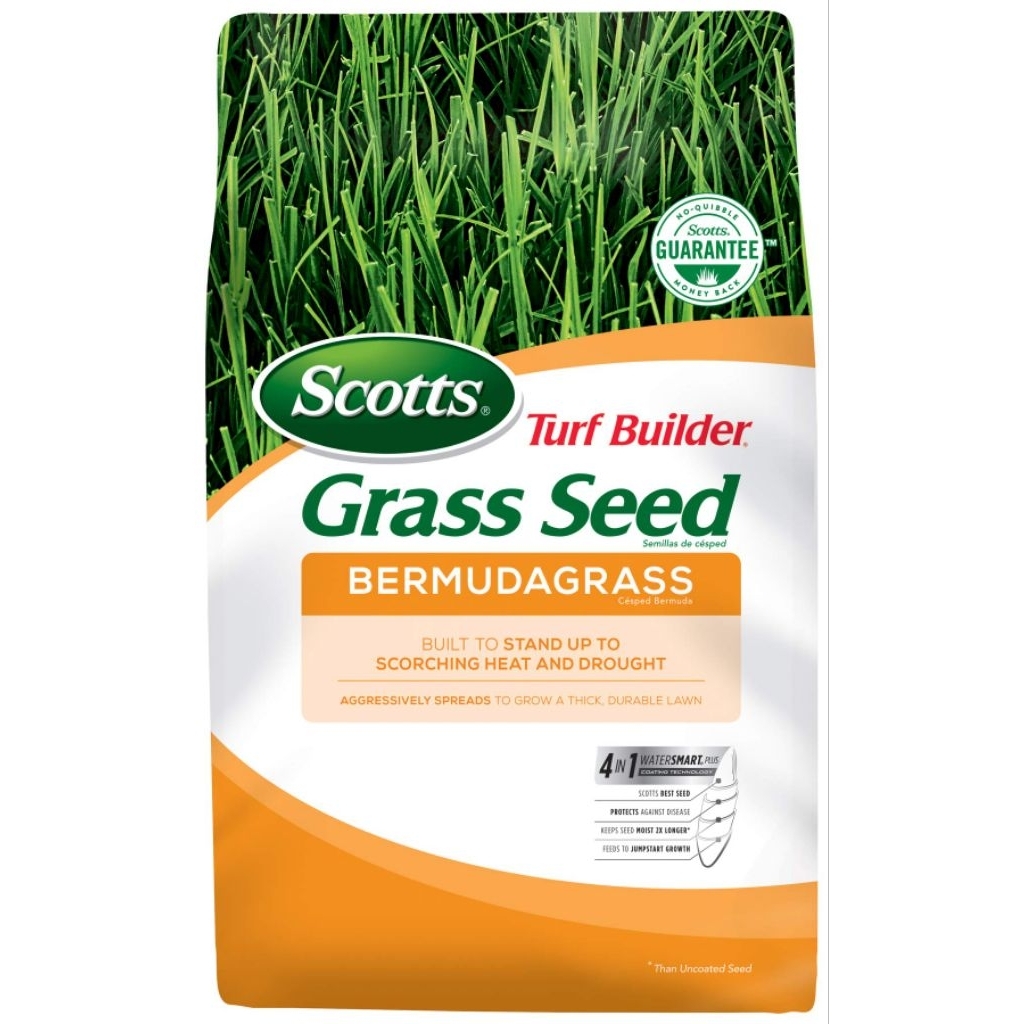 Benih Rumput Bermuda Grass Scotts 1kg - Bibit Rumput Bermuda Grass Seed