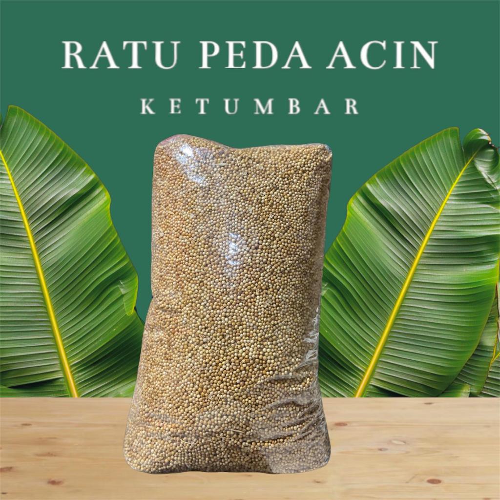 

Ketumbar / Katuncar 1 Kg Butir Kualitas Terbaik Coklat Bersih Harga Termurah - Ratu Peda Acin