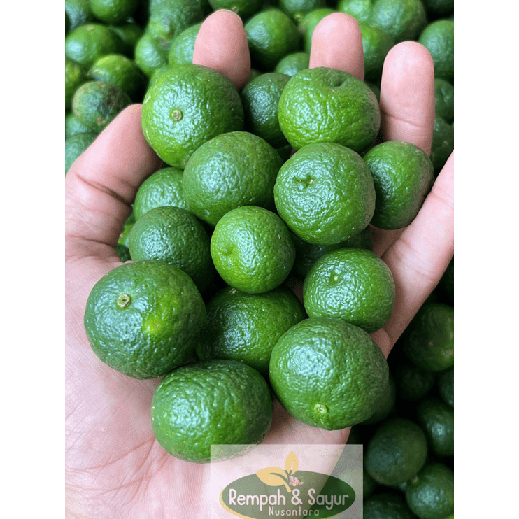

Jeruk Limau Limo Fresh Langsung Dari Kebun - Jeruk Sambal
