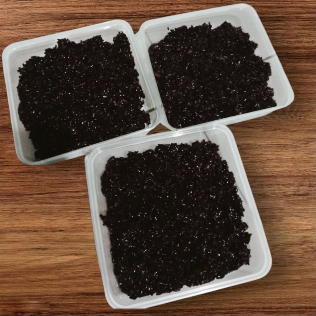 

Tape Ketan Hitam Manis Legit Khas Bandung 500gr