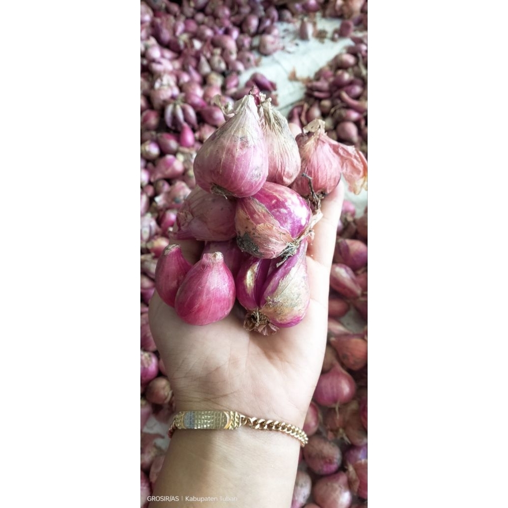 

BAMER LOKAL Super Jumbo Murah 1 kg