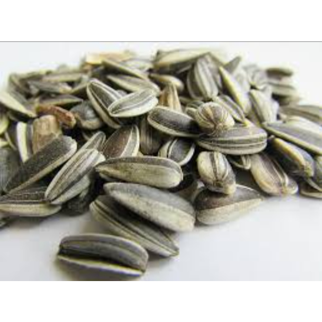 

KWACI BIJI BUNGA MATAHARI KULIT 1 KG/ 500 gram