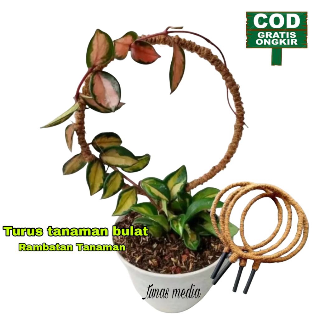 Turus Penyangga Tanaman Bulat Rambatan Tanaman
