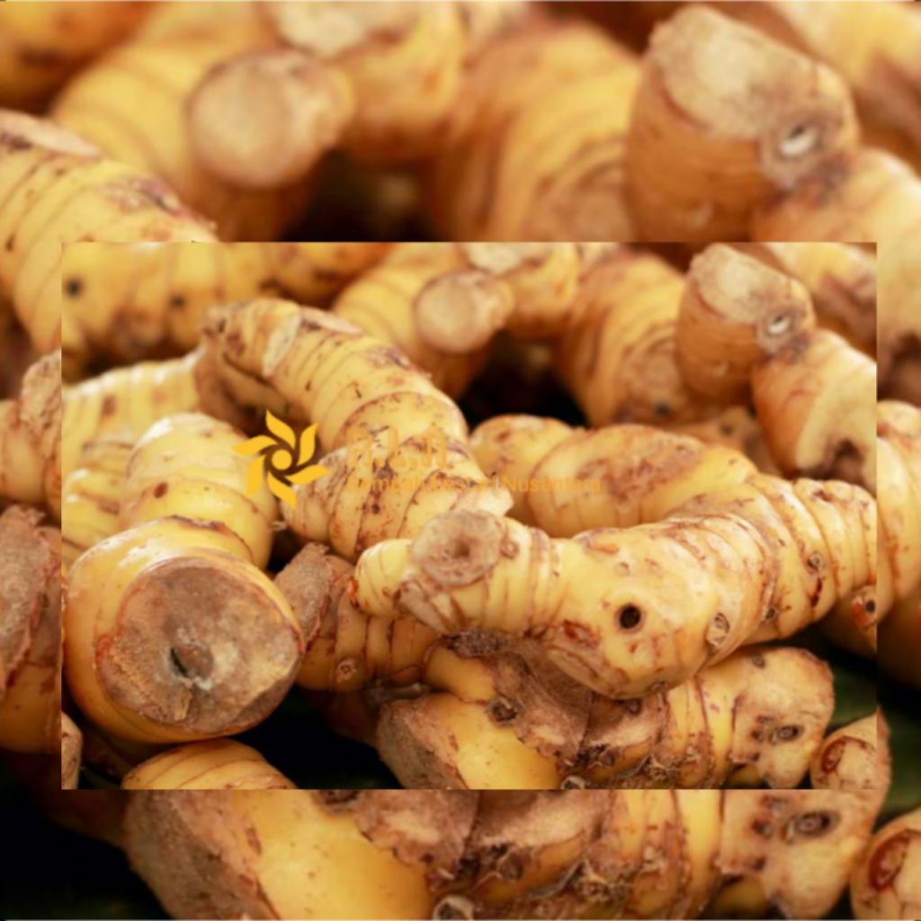 

lengkuas segar 250 gram