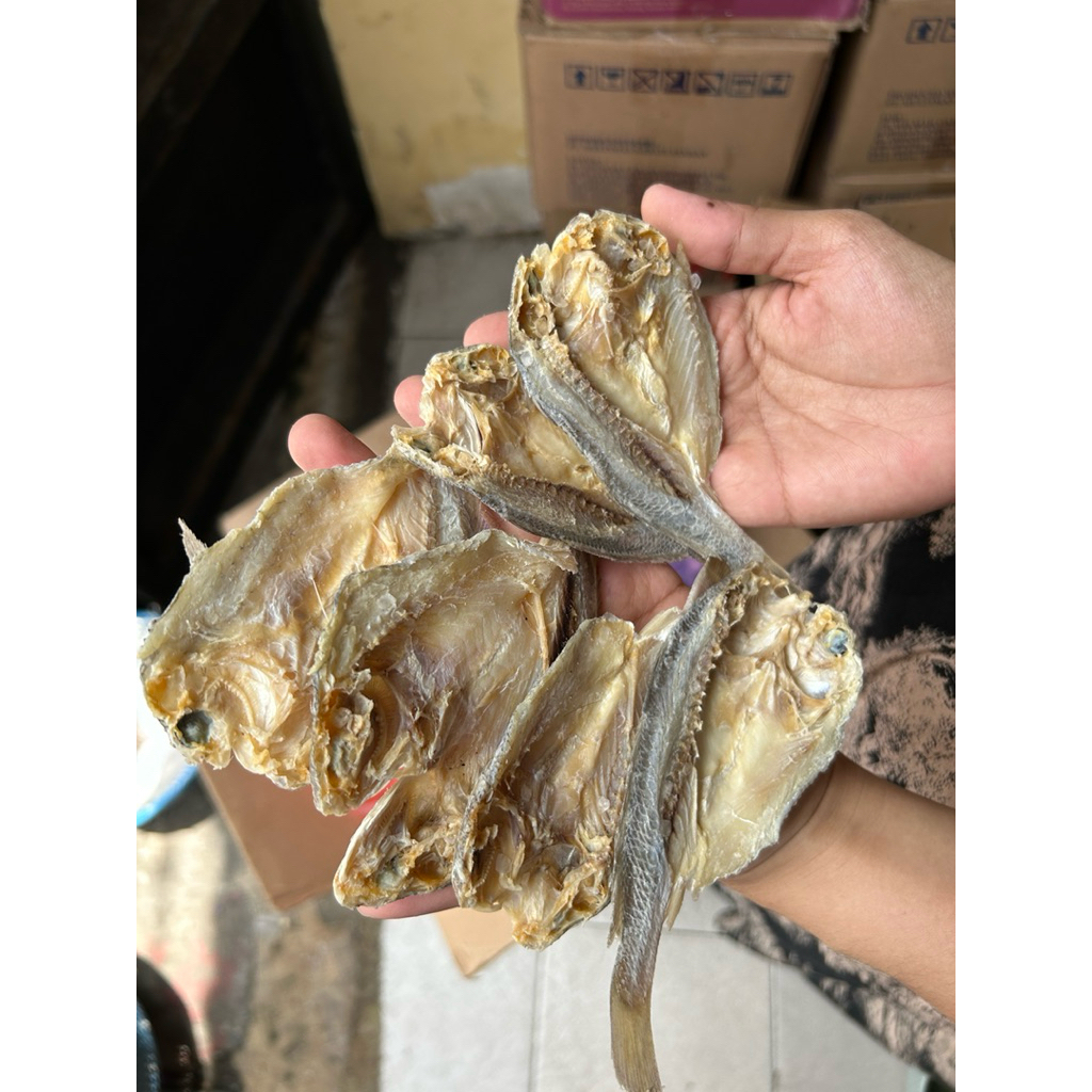 

Ikan asin Belah Batu Gulama Fresh Termurah