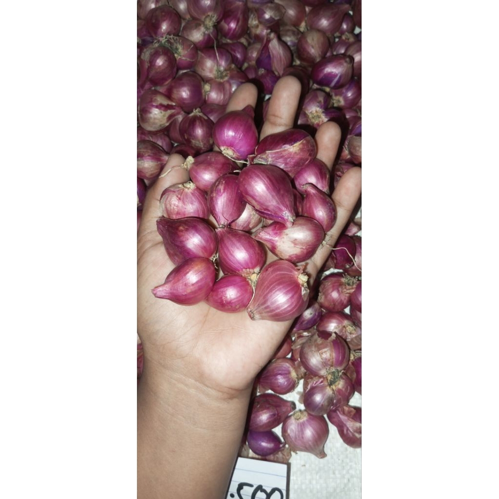 

bamer garing sring berat 500gr ukuran besar