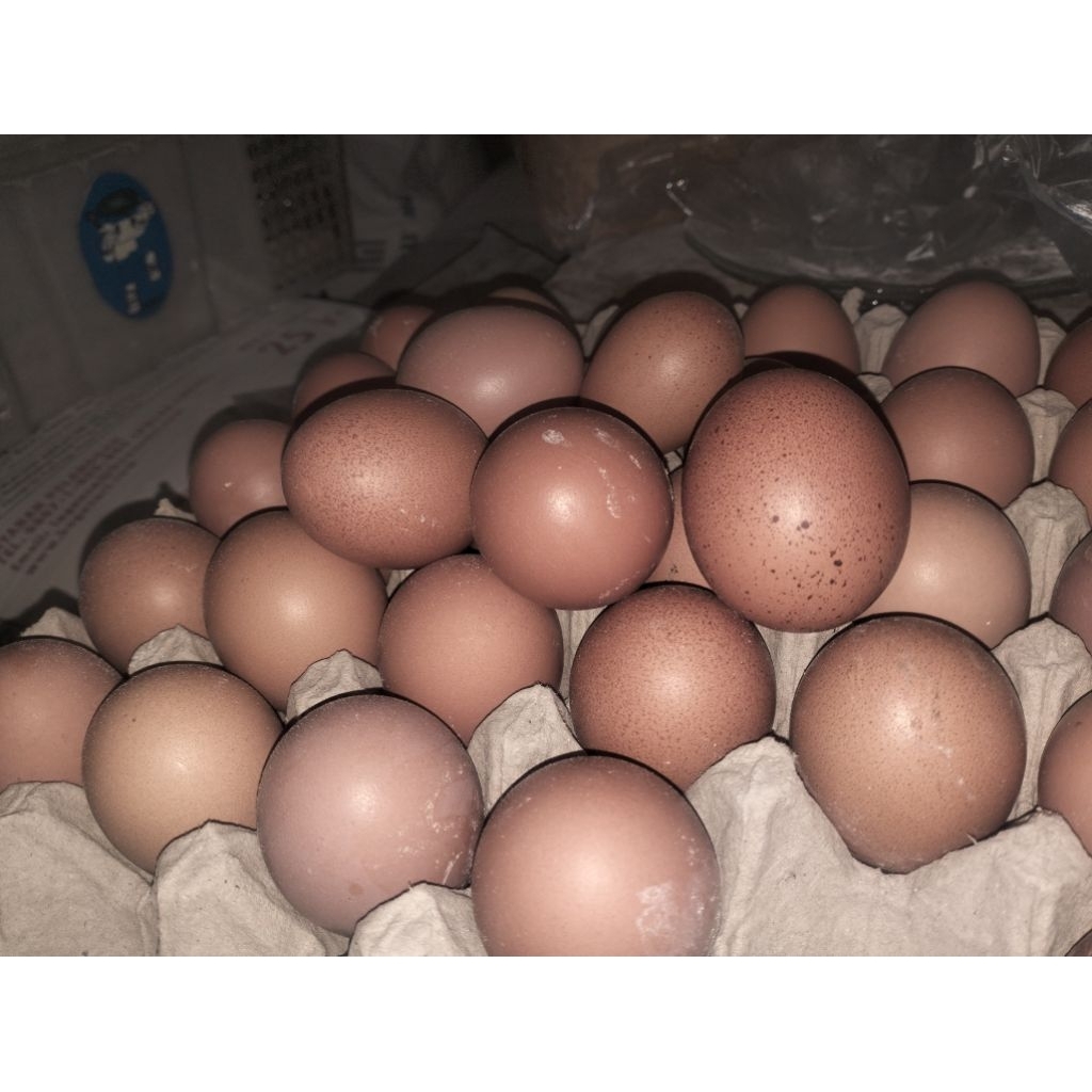 

( PER KG )Telor Ayam Negeri ( Kota Bandung ) INSTAN