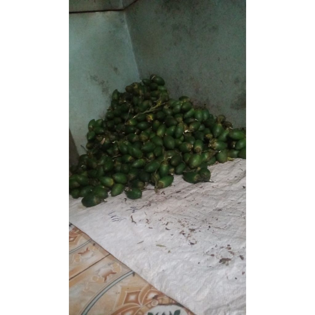 

buah jambe muda/500gram