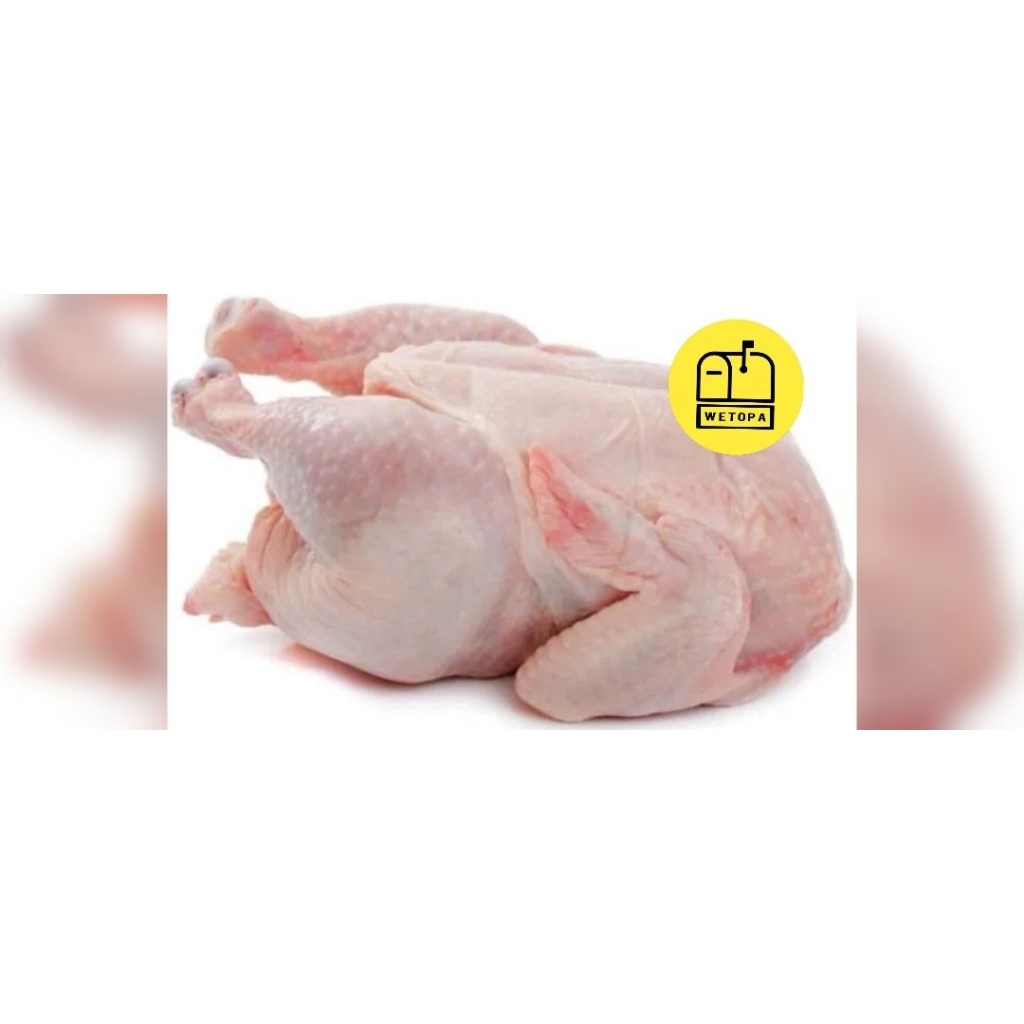 

AYAM BROILER 800GR