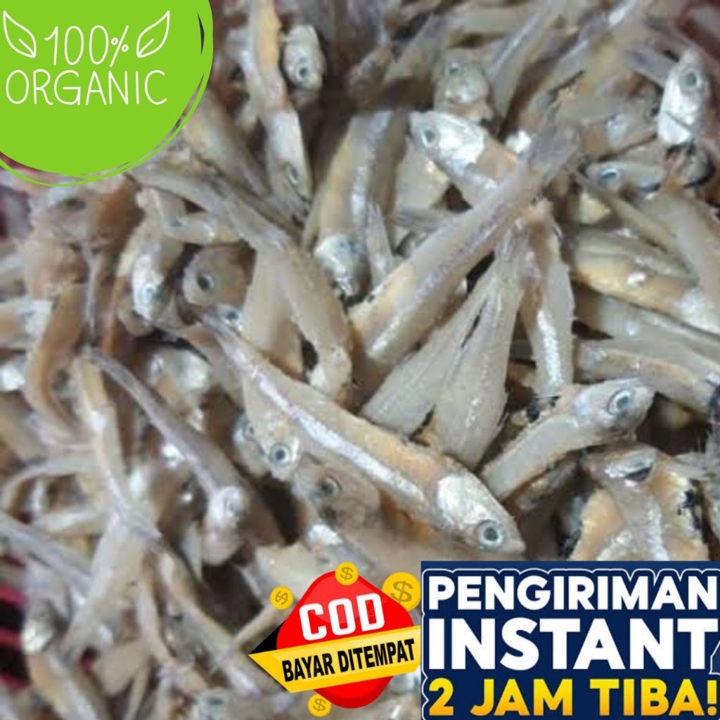 

IKAN TERI ASIN 1KG ll TERI JENGKI 1KG