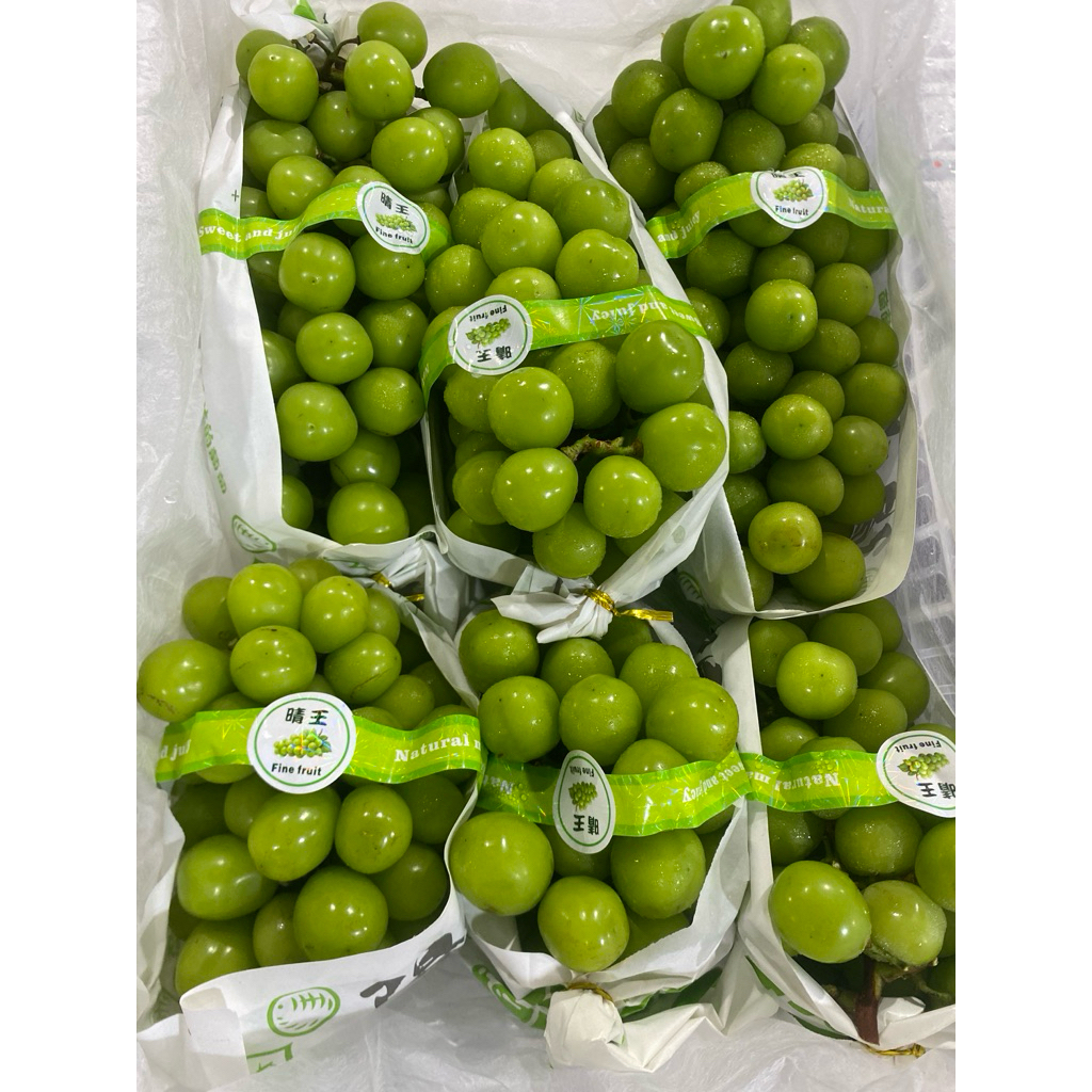 

Anggur Hijau muscat curah tanpa biji