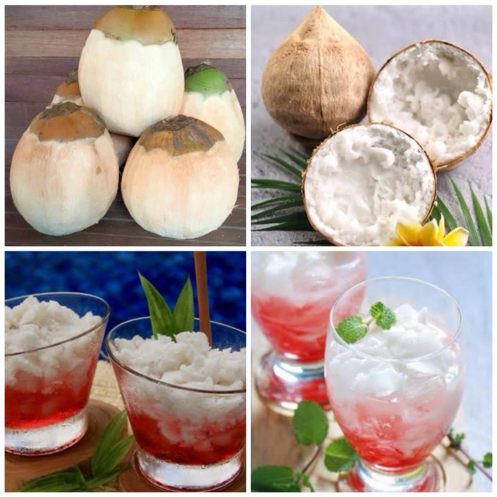 

kelapa kopyor sebutir