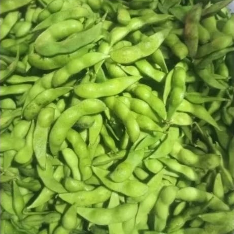 

EDAMAME FRESH SEGAR 1 KG