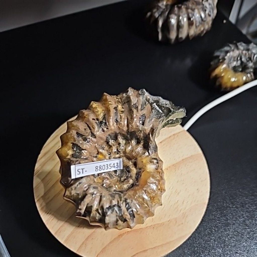 CRYSTAL AMMONITE  Madagascar Rough HQ BATU ASLI