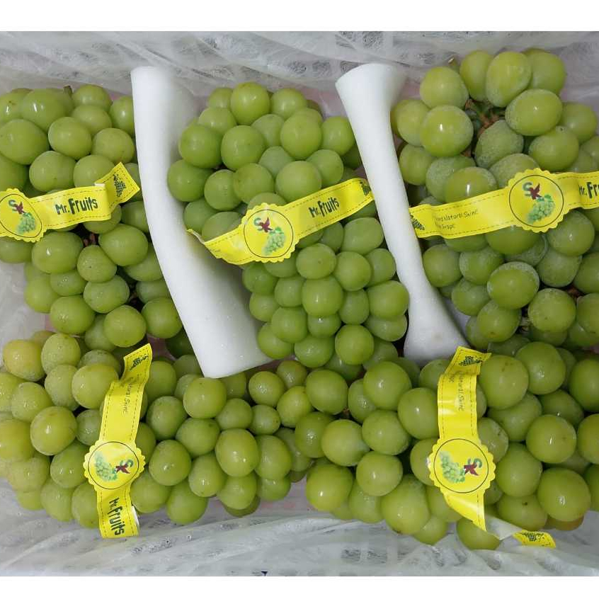 

Anggur Shine Muscat Fresh Pack PROMOOO