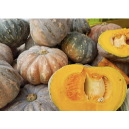 

Labu Kuning Medan Daily Market