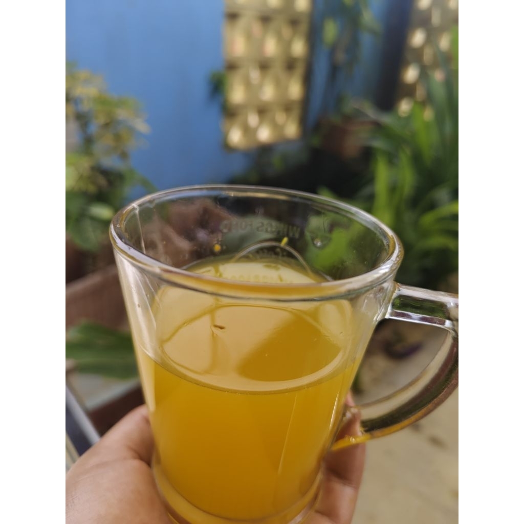 

Jamu rimpang solusi buat diet ala dr. zaidul akbar