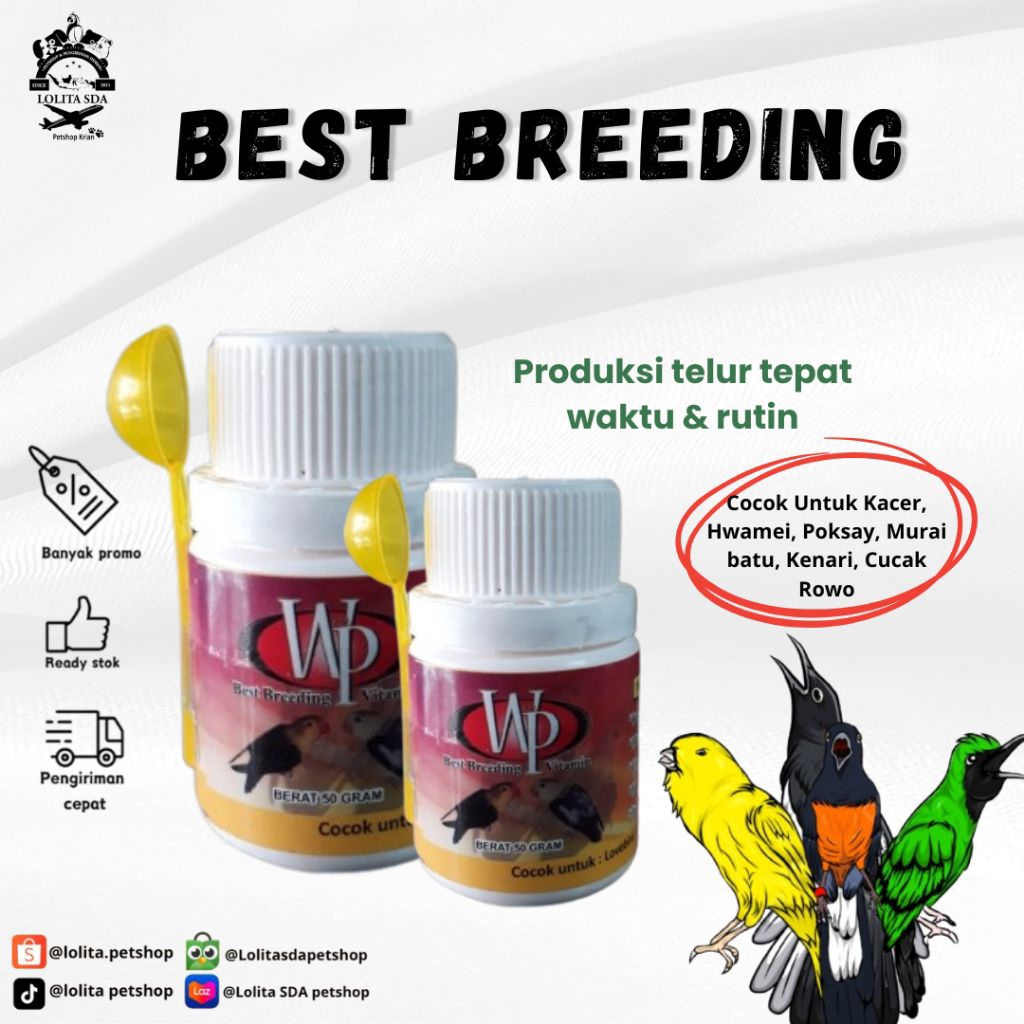 vitamin wp best breeding untuk burung