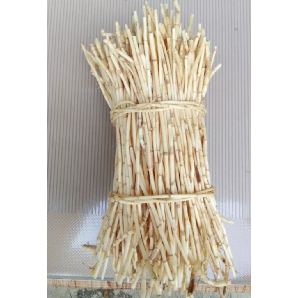 

akar alang alang segarr 1kg