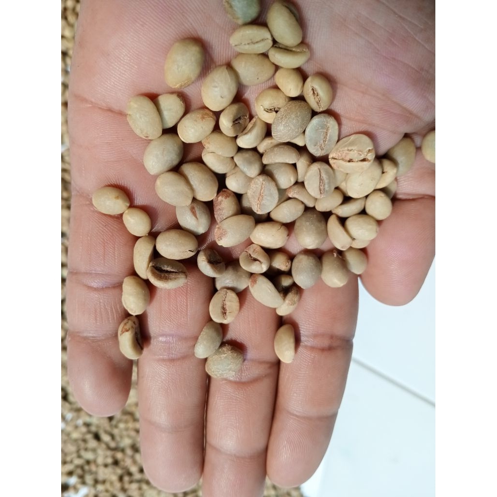 

green bean robusta wonosalam