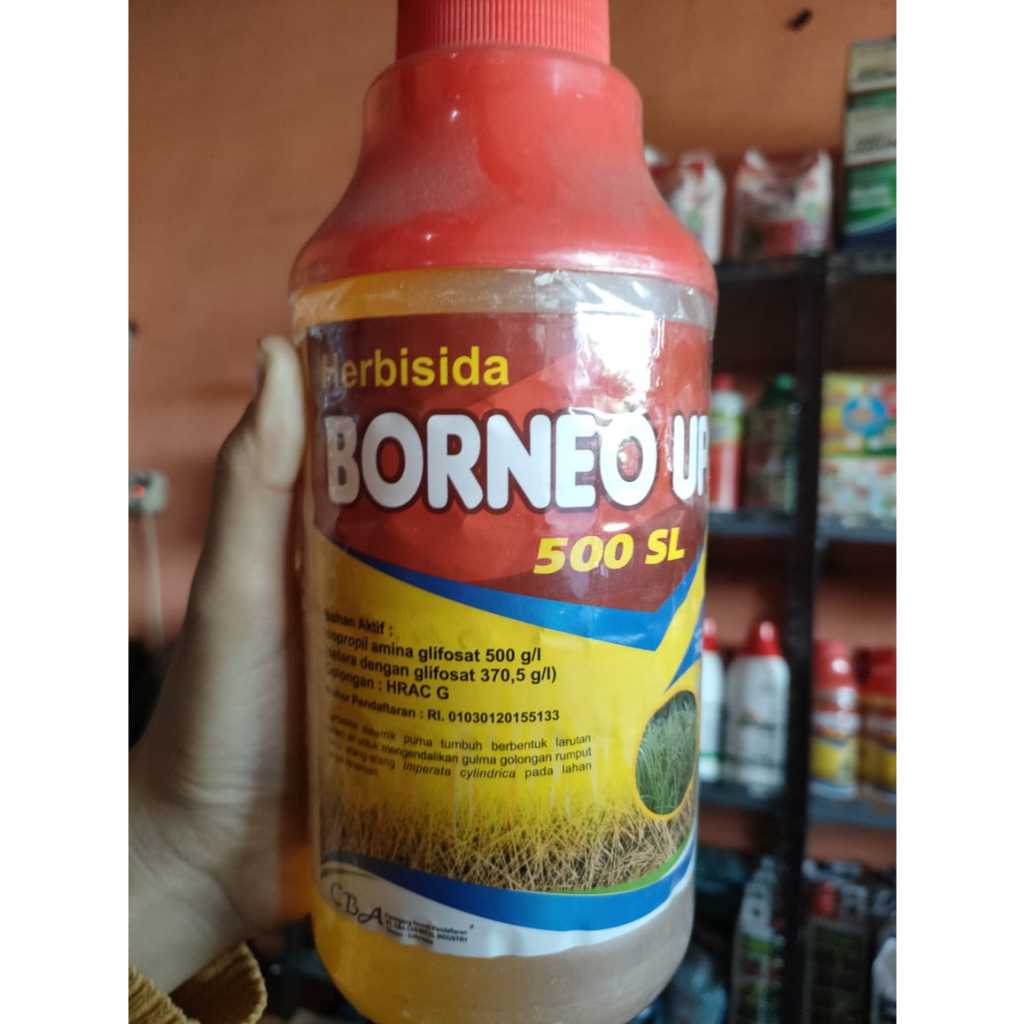BORNEO UP 500 SL 1 LITER