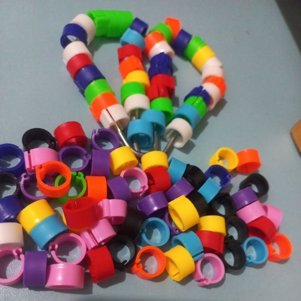 Ring Merpati Klip Polos tidak bisa pakai nama