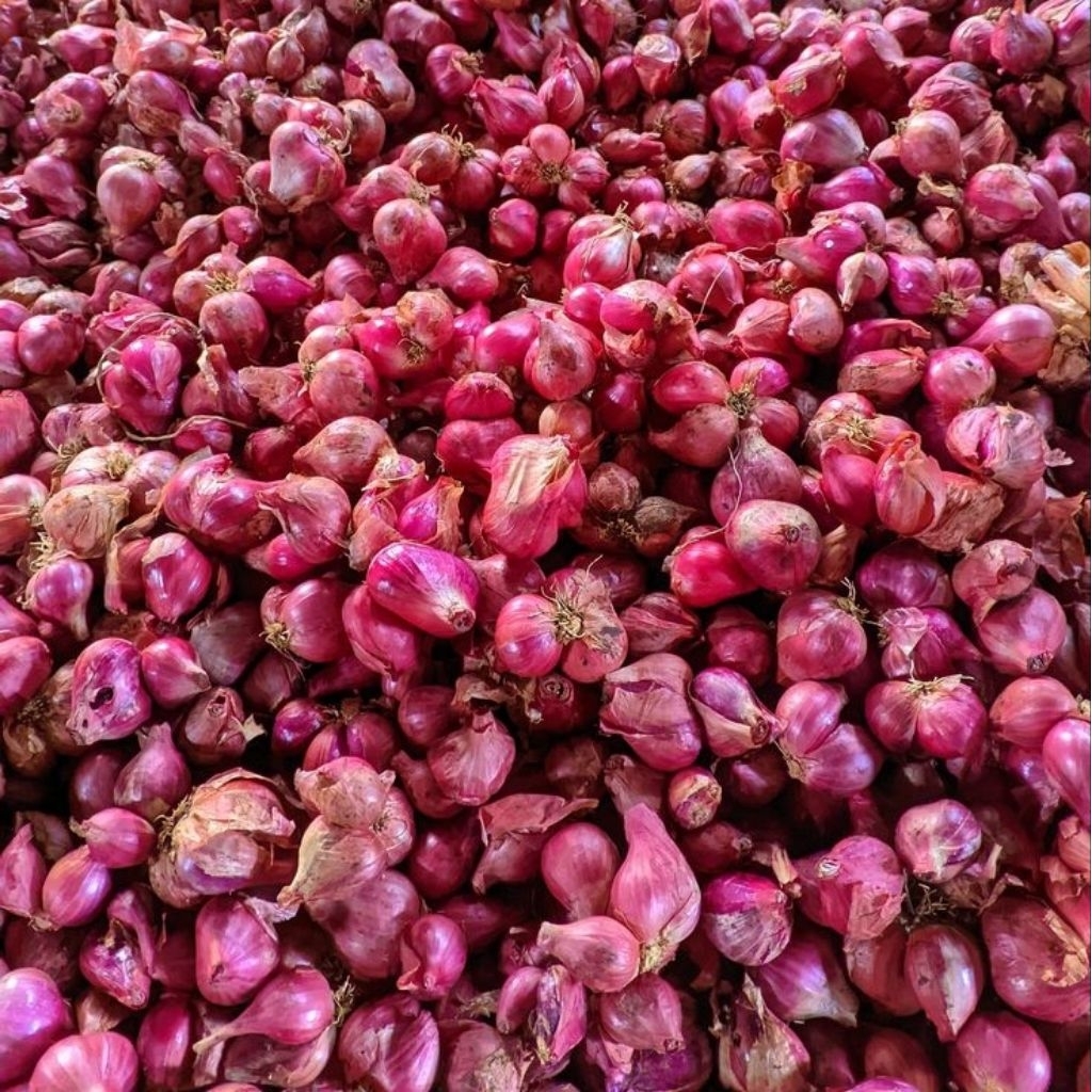 

Promo Bawang Merah Besar 1kg Terlaris