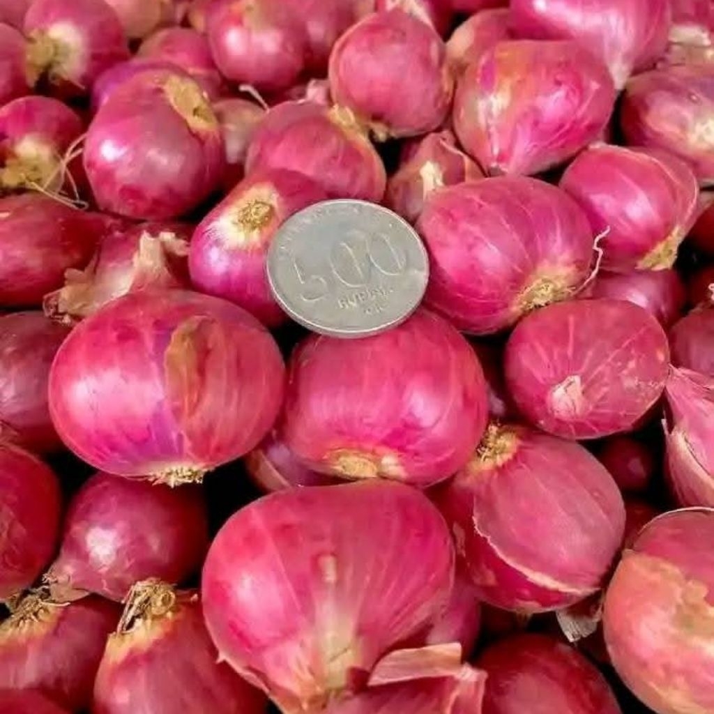 

Bawang Merah 1kg Kualitas Terbaik Bawang Brebes Bawang Merah Lokal